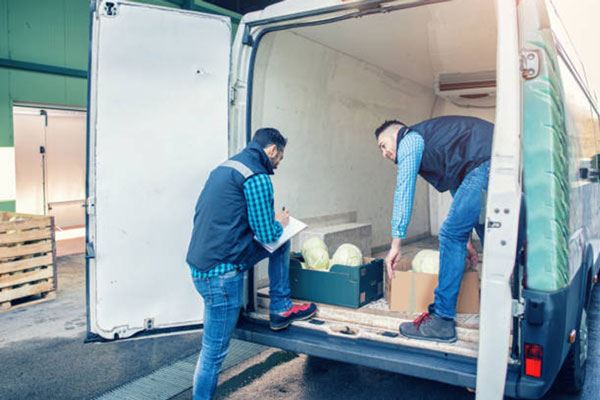 Soluciones de transporte para alimentos congelados